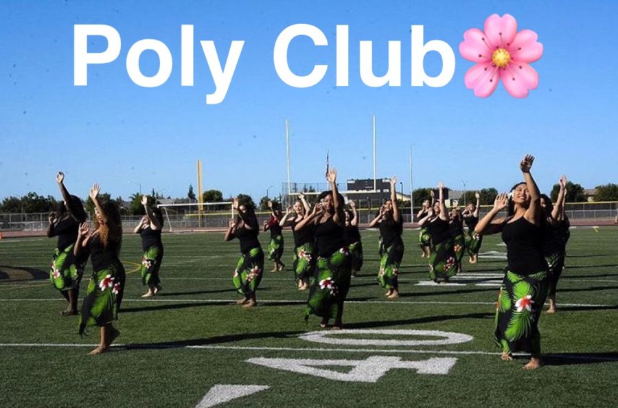 Poly+Club