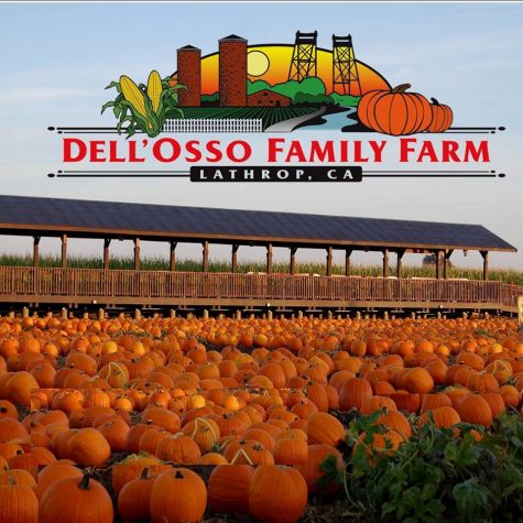 DellOsso Family Farm doing holiday fun since 1997. 