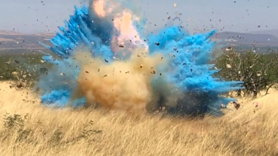 Gender+Reveal+Into+Flames