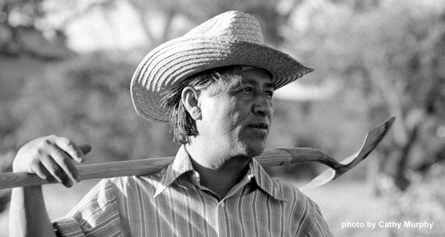 Cesar Chavez and Working Conditions: Then vs Now