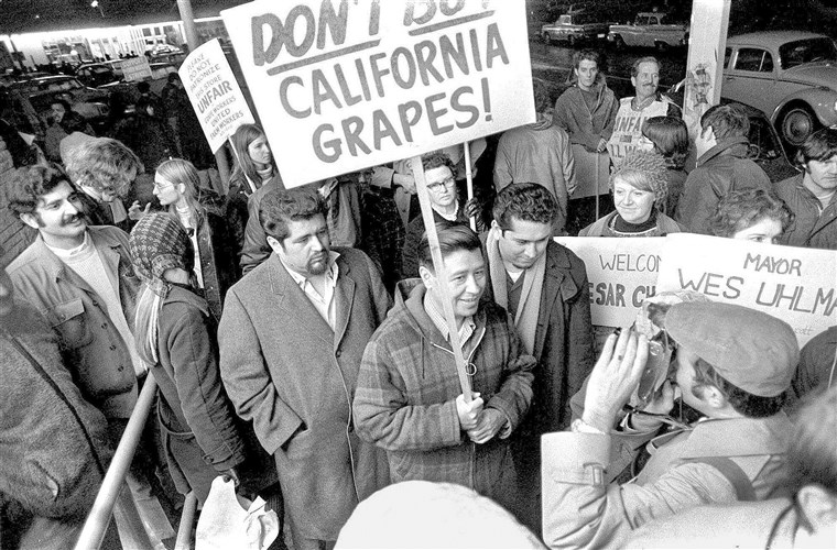 Cesar+Chavez+and+the+Delano+grape+strike