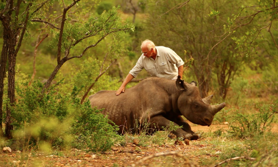 Help+Save+The+Rhinos