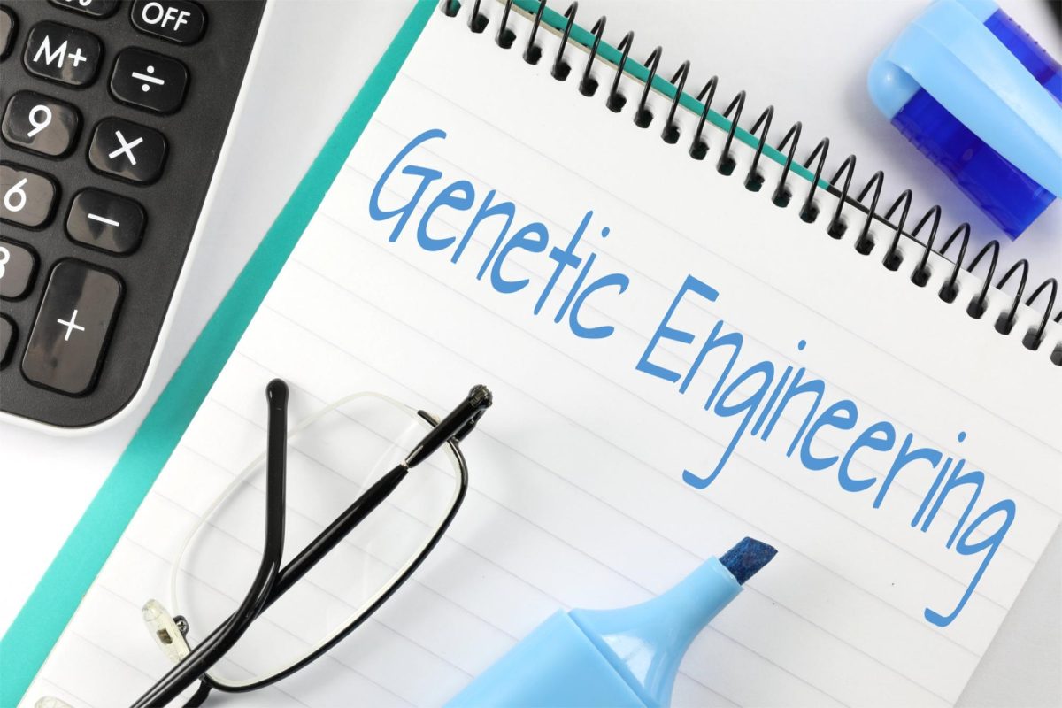 Genetic+engineering+
